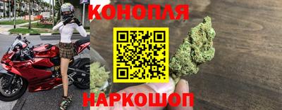 СК Новодвинск