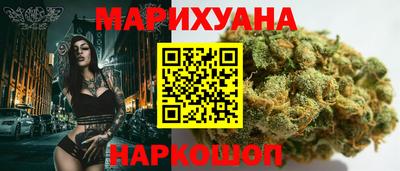 СК Новодвинск