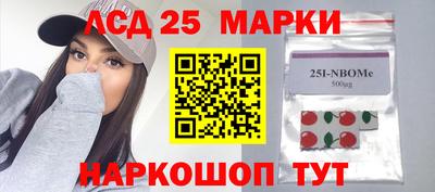 СК Новодвинск