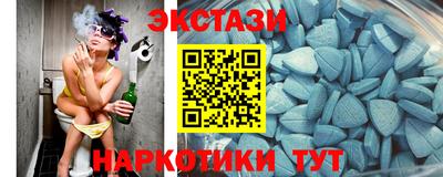 СК Новодвинск