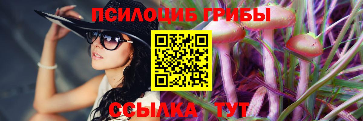 Галлюциногенные грибы Psilocybine cubensis  Вход с VPN  Рубцовск 